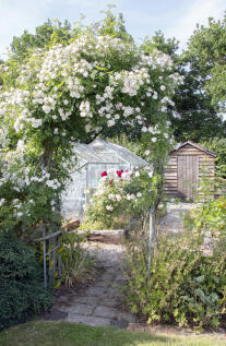 07 Garden