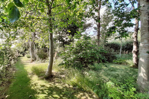 03 Garden