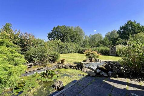Garden b.jpg