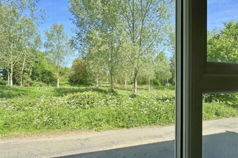 Meadow View.jpg