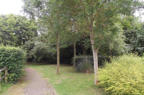 garden.jpg