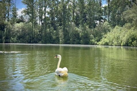 Lake View 1.jpg