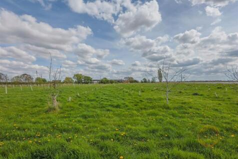 poplars -18.jpg