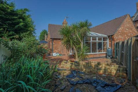 whiteacre-11.jpg