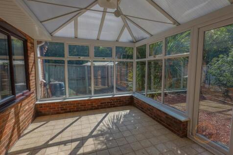 whiteacre-14.jpg