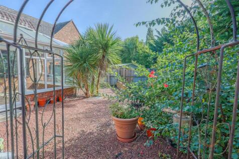 whiteacre-09.jpg
