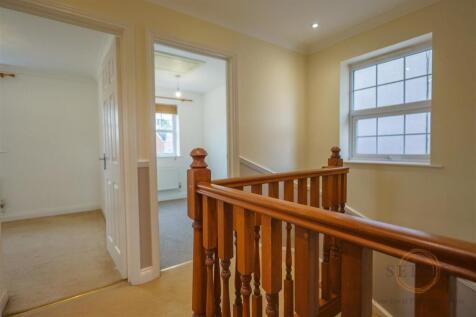 4 mallard close -11.jpg