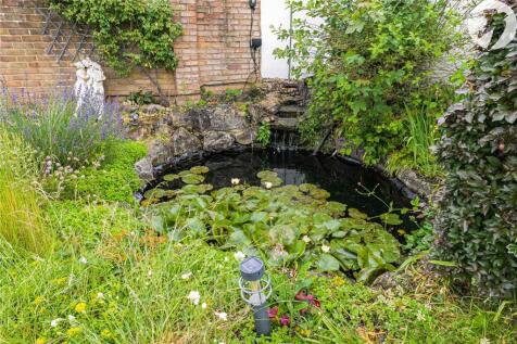 Pond