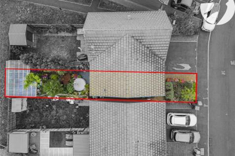 Plot View
