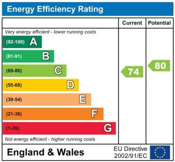 EnergyChartP9197.jpg