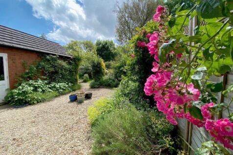 The Rear Garden