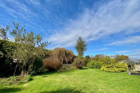 The Rear Garden