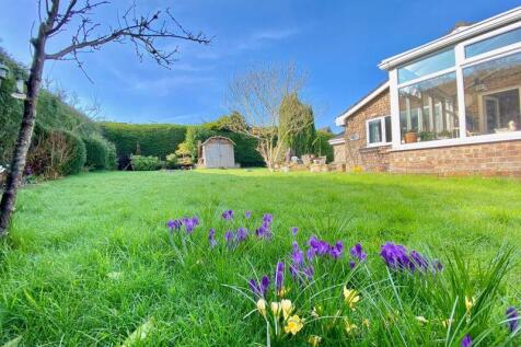 The Rear Garden