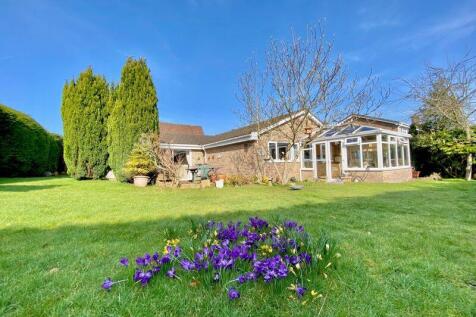 Another view of the Rear Garden