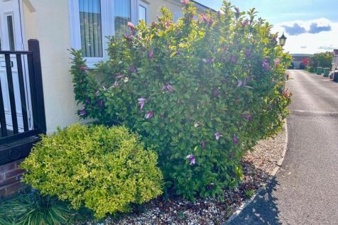 The Side Garden