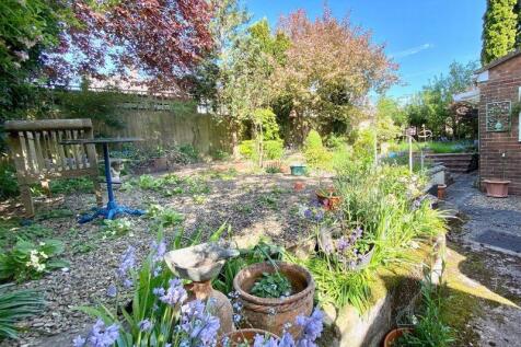 The Rear Garden