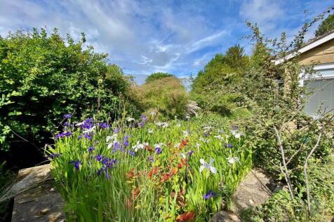 A view of the Garden
