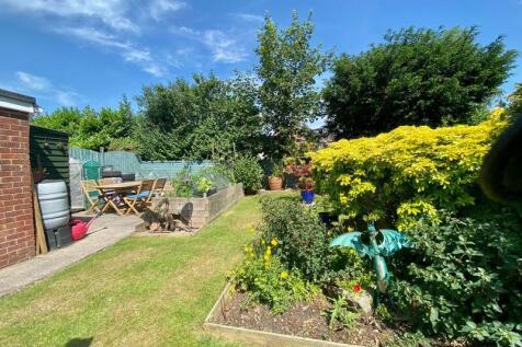 The Rear Garden