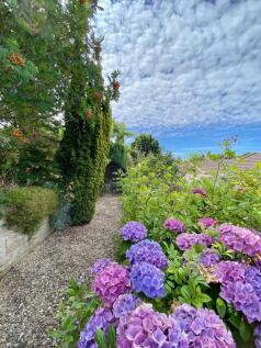 Another Garden View