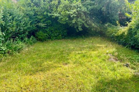 The Rear Garden