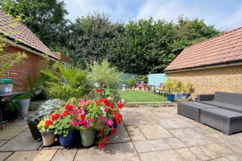 The Rear Garden