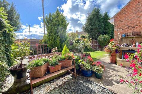 The Rear Garden