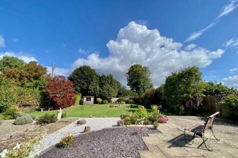 The Rear Garden