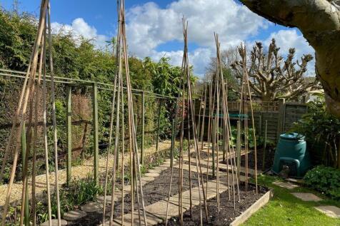 Another view of the Rear Garden