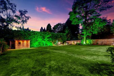 Twilight Garden