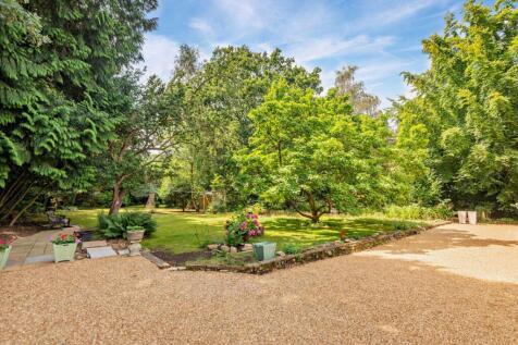 Garden &amp; Driveway