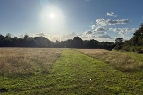 Meadow