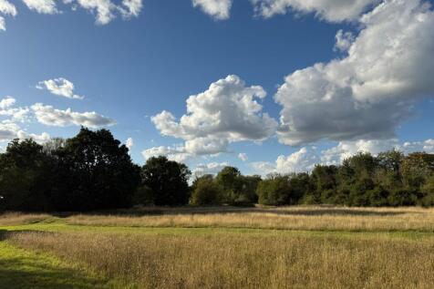 Meadow