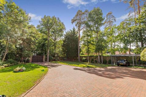 Front Garden &amp; Drive