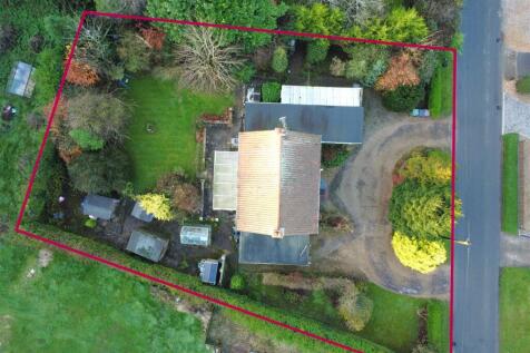 Plot Overview