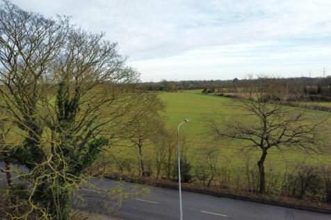 Field View