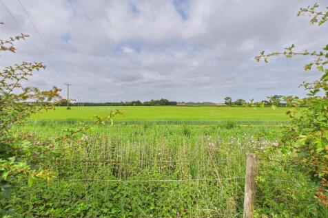 Field Views