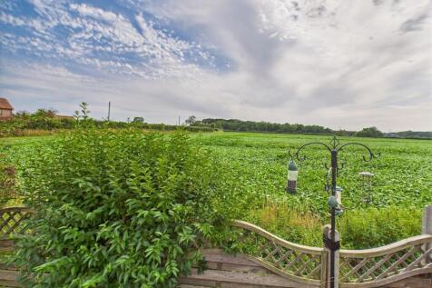 Countryside Views