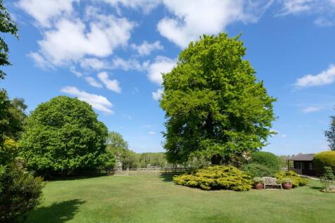 Grounds