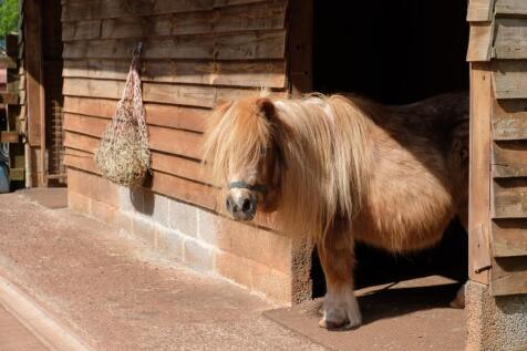 Stabling