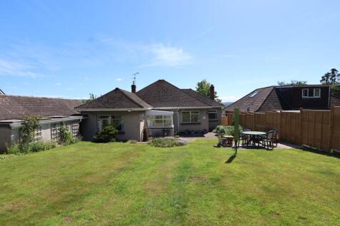 Back Garden