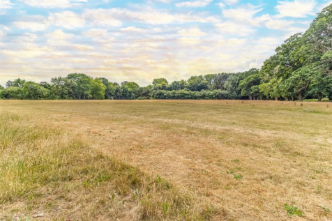 Lawn2.png