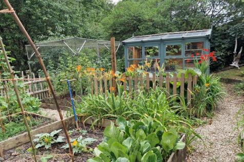 vegetable garden.jpg