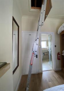 IMG_0187.jpeg