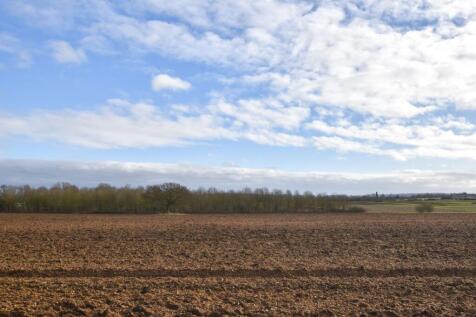 Field Views