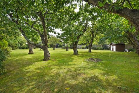 Property Image 34