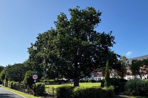 Communal Gardens