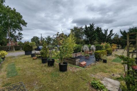 Build Plot At Front