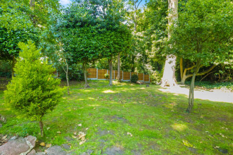 Property Image 44