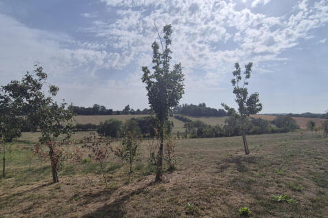 Surrounding Area