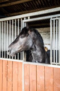 Clipping Room